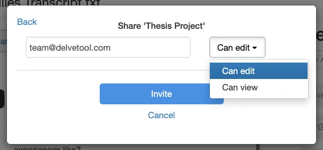 Share project in Delve